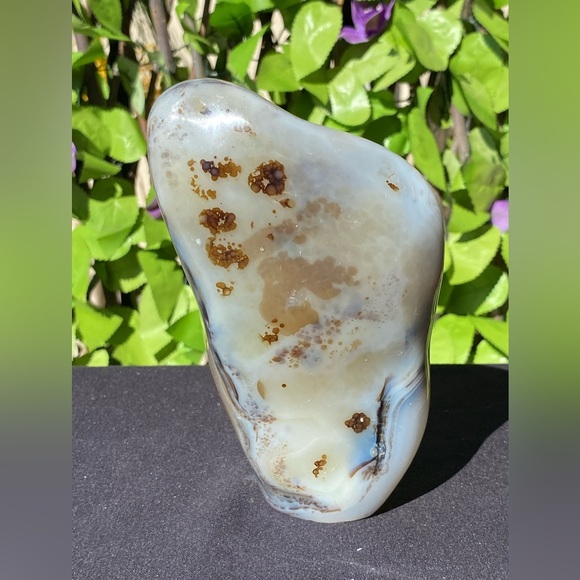 Dendritic Agate Freeform - Picture 1 of 16